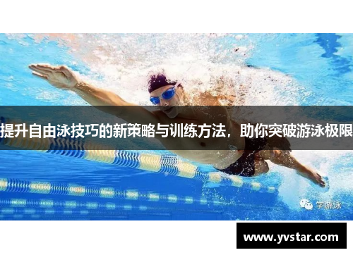 提升自由泳技巧的新策略与训练方法，助你突破游泳极限