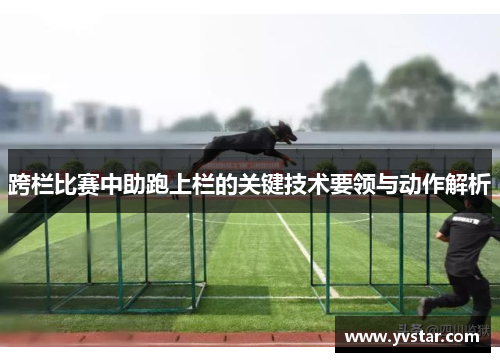 跨栏比赛中助跑上栏的关键技术要领与动作解析