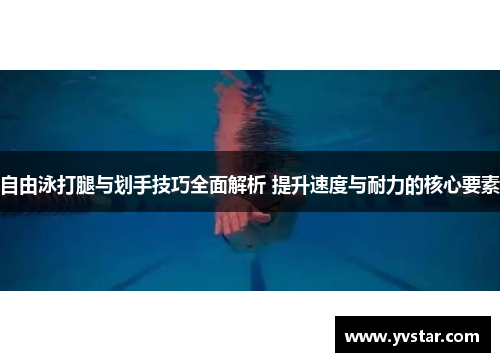 自由泳打腿与划手技巧全面解析 提升速度与耐力的核心要素